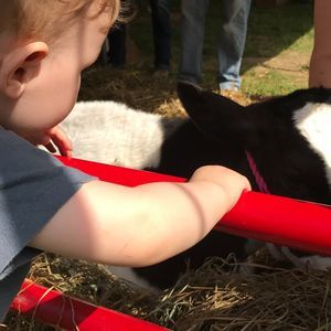 Meet your Posher, Hillary